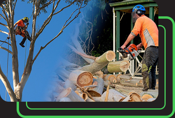 Request a Quote or Site Assessment